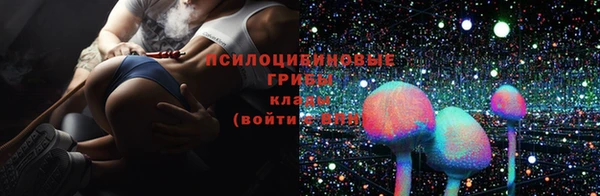 спайс Пересвет
