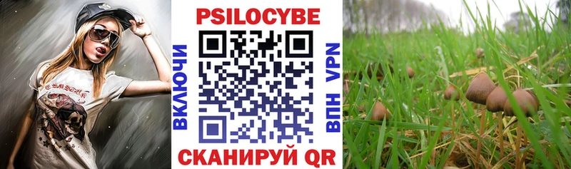 Купить где  Урай  Псилоцибиновые грибы мицелий